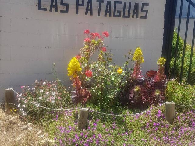 Venta en LAS PATAGUAS - Cartagena
