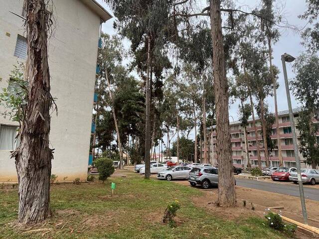 Departamento para Venta en El Tabo - 2