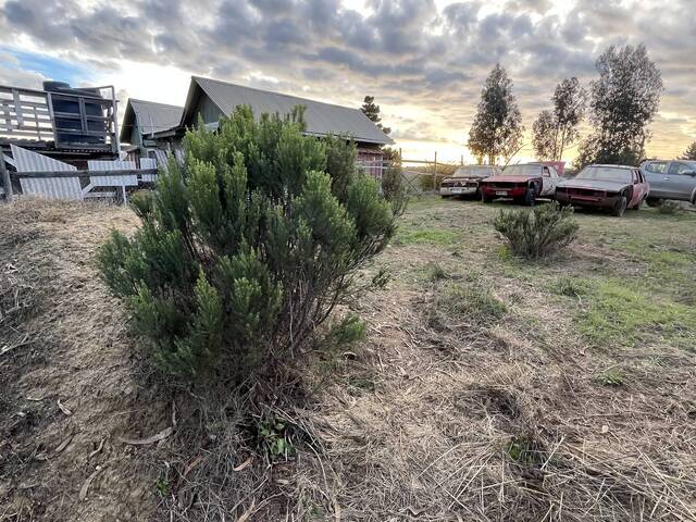 Terreno para Venta en El Tabo - 4